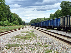 min 892 13.jpg